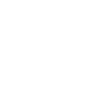 SWEDEN JAPAN FOUNDATION